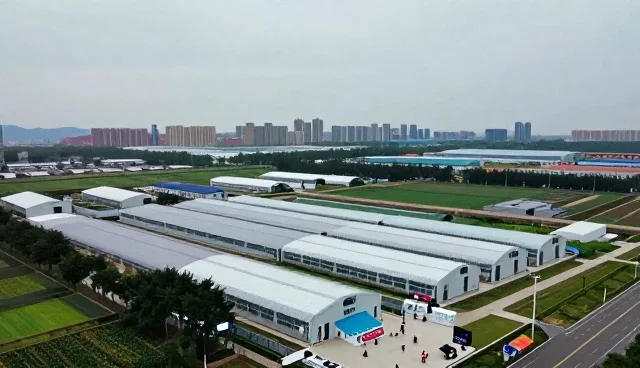 医疗健康服务选型中需关注的核心要素